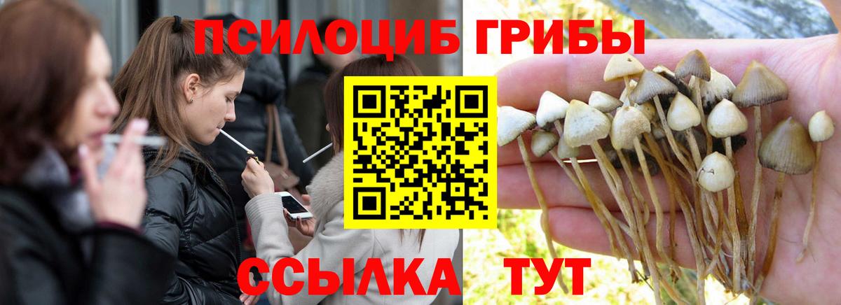 Орехово-Зуево  Псилоцибиновые грибы мухоморы  Вход с VPN  хочу наркоту  Псилоцибиновые грибы мухоморы 